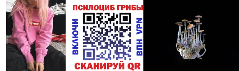 кракен вход  Устюжна  Псилоцибиновые грибы Psilocybe  где найти наркотики 